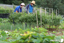 경산시, 2월7~28일 도시농업 공영농장 분양…텃밭교육도 진행