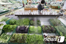 쌈채소 가격 고공행진