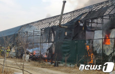 부천 대장동 동물농장 비닐하우스 불…인명피해 없어