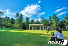 춘천 주요관광지 입장권 들고 오세요…강아지숲 할인 혜택은