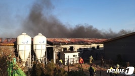 철원 동송읍 돈사에서 불…돼지 420여마리 폐사