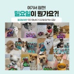 댕냥이가 더리얼 밀 먹는 요일은…하림펫푸드 오늘은 밀요일 이벤트