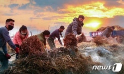 알곡 생산 투쟁 나선 북한 농업 분야 노동자들