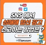 서울시 인터넷 시민감시단, 작년 '불법 性산업' 광고 최다 적발