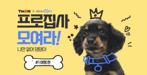 펫 상품부터 커뮤니티까지…티몬, 반려동물 콘텐츠 프로집사 모여라 진행