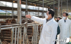 김영록 지사, 친환경 한우 농장 방문