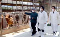 김영록 지사, 친환경 한우 농장 방문