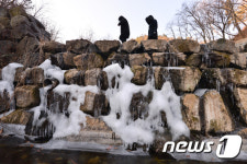 봄은 언제쯤 오려나