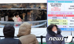 선별진료소에 핀 모정