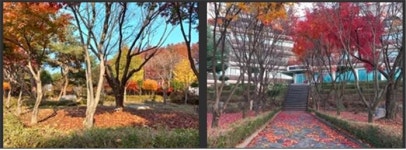 EBS스스로배움터N 운영사, 이천 캠퍼스서 기숙학원 개관