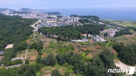 동해시 국도 7호선 상습정체 해소되나…간선도로 개설 준비