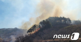 전남 구례서 산불...야간까지 이어질듯