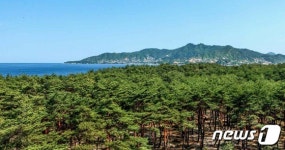 북한, 소나무숲 송단 거룩한 영도의 자욱 아로새겨져