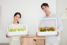LG전자, 실내 식물재배기 틔운 미니 제품 출시
