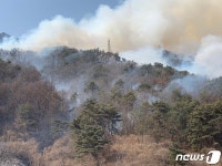 영월 김삿갓면 산불, 강풍에 급경사 악조건…진화율 50%(2보)