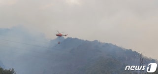 영월 김삿갓면 산불, 강풍에 급경사 악조건…진화율 50%(2보)