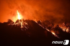 삼척 원덕읍 산양2리로 번지는 산불