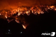 삼척 원덕읍 산양마을 산불