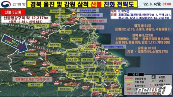 전국 14곳 산불 피해 1만4162…울진만 1만1661(종합)