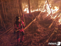 강릉 옥계 산불 방화범 신상공개 하라 국민청원