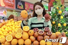 롯데마트, 이색 오렌지 판매