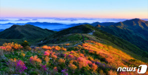 구례∼남원 연결 지리산 노고단 일주도로 11일 통행재개