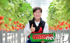 청도 설향 딸기 최곱니다