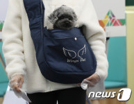 주인님의 선택을 믿어요