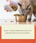 [펫카드]반려동물과 살고 있다면…재난 발생시 대처요령