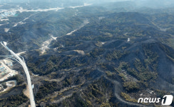 [뉴스1 PICK]서울 면적 3분의1 태운 울진·삼척 산불…역대 최장·최대 기록