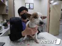 취약계층 강아지·고양이 수술비 20만원까지 지원