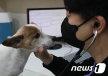 취약계층 반려동물 의료지원 확대합니다