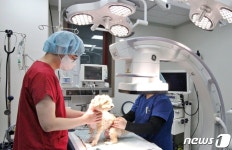 해마루동물병원, 인터벤션센터 개소…수술없이 종양 치료