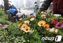 서울시 사계절 꽃길 조성사업