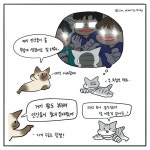 [해피펫툰]새끼고양이는 어쩌다 동물병원 응급실에 오게 됐을까