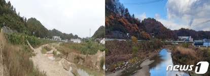 청주시 월운천·용두천, 생태하천 복원 뒤 수질·생태계 크게 개선