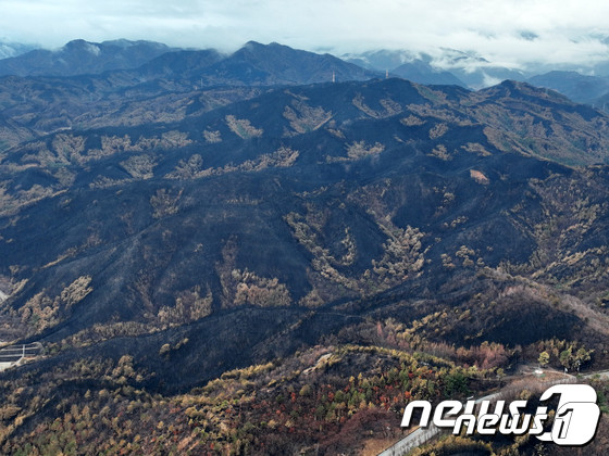 산불 피해 복구에 13억 기부 약속, 우리금융그룹과 가수 백현 등 활발한 지원