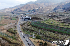 상춘객 차량으로 붐비는 매화마을 인근 도로