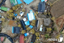 산수유 품은 외용궁마을