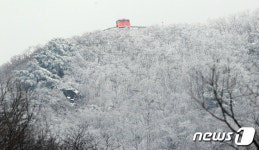 설국으로 변한 대봉산, 모노레일 타고 즐겨요