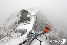 설국으로 변한 대봉산, 모노레일 타고 즐겨요