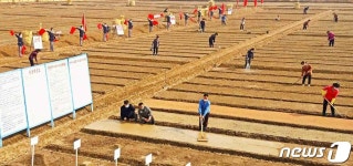 北, 농번기 앞 농촌혁명 강조… 국가적 투자 없인 발전 없어