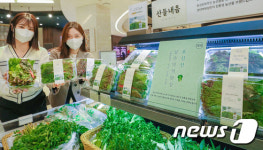 당일 수확한 초신선 쌈채소 맛보세요