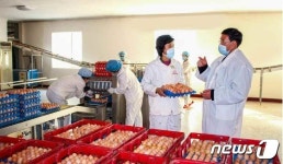 축산물 증산 기술력 강화하는 北 홍주닭공장 일꾼들