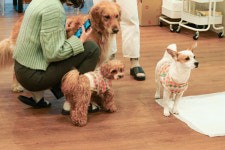 펀엔씨, 반려동물 동반 출근을 위한 환경 조성… 복지혜택 파격 지원