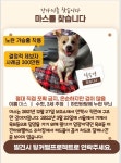 안락사 직전 구조했는데…거제서 사라진 강아지, 어디에[펫톡톡]
