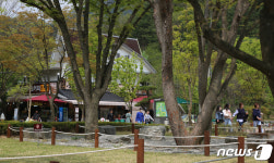 화창한 봄날 주말 강원 유명산‧관광지 봄나들이 인파로 북적