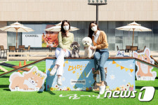 반려견과 함게 봄나들이 해보세요