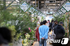 식목일 앞두고 북적이는 양재동 화훼공판장