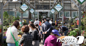 식목일 앞둔 양재동 화훼공판장 북적북적